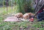 tag_der_offenen_tuer_2008023