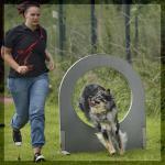 055_hundesport