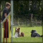 059_hundesport