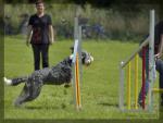 073_hundesport