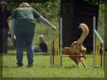 074_hundesport