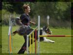 078_hundesport