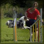 079_hundesport