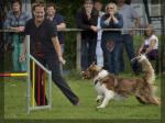 080_hundesport